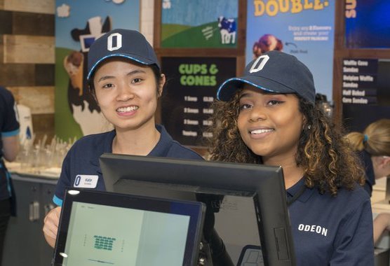Do Canadian Companies Employ Foreigners?
