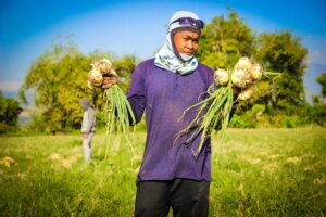 farm worker